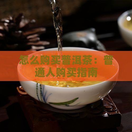 普通人如何购买藏普洱茶