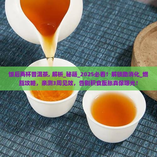 饭后两杯普洱茶