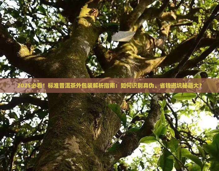 标准普洱茶的外包装