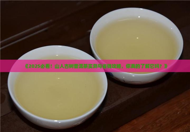 山人古树普洱茶