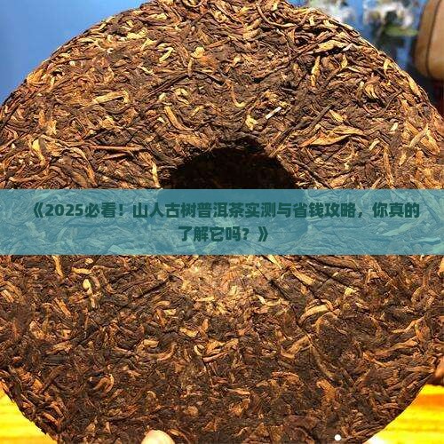 山人古树普洱茶