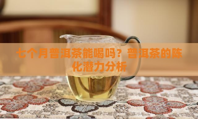 七个月熟普洱茶能喝吗