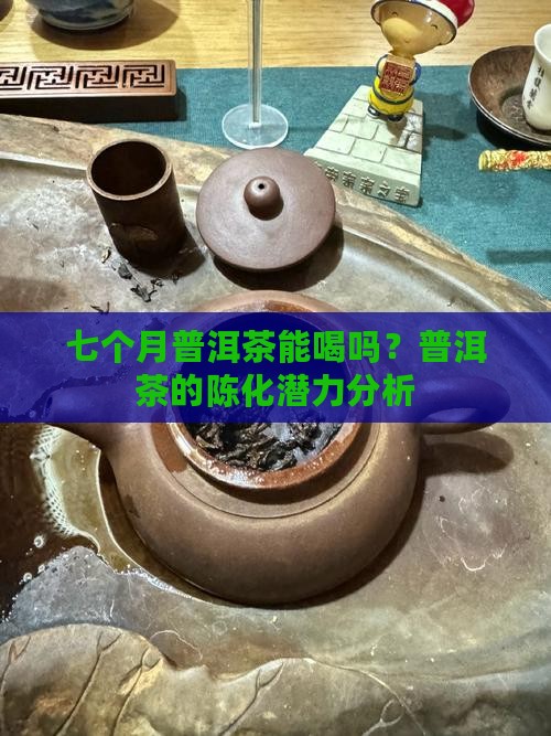 七个月熟普洱茶能喝吗