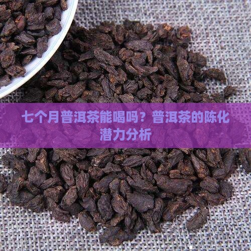 七个月熟普洱茶能喝吗