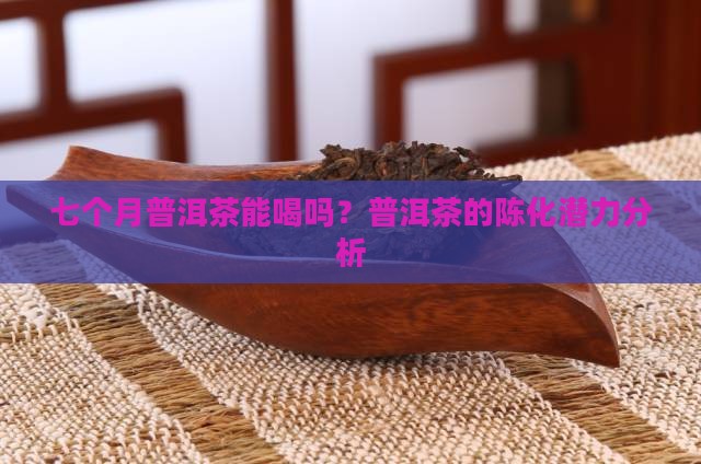 七个月熟普洱茶能喝吗