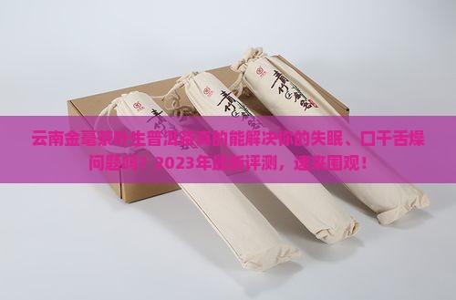 云南金毫茶叶生普洱茶怎样