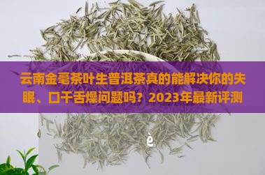 云南金毫茶叶生普洱茶怎样