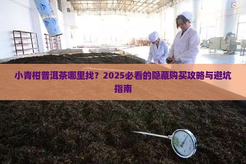 小青柑普洱茶哪里找