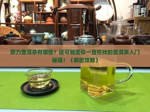致力普洱茶有哪些