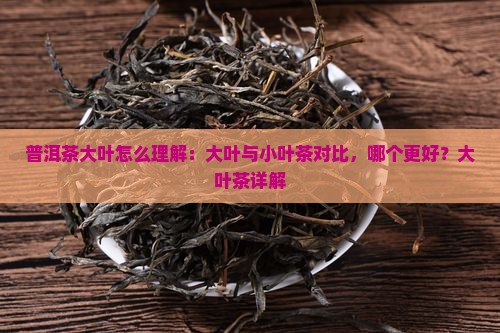 普洱茶大叶怎么理解