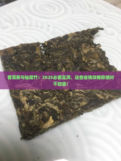 普洱茶与仙尾竹