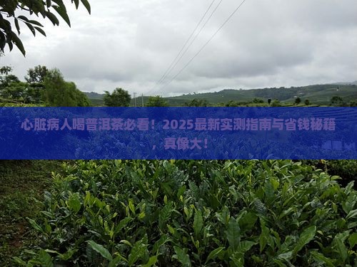 心脏病人喝普洱茶可以吗
