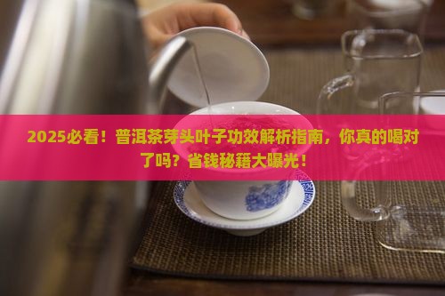 普洱茶芽头叶子功效