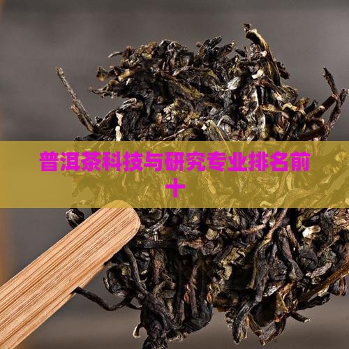 普洱茶科技与研究专业排名