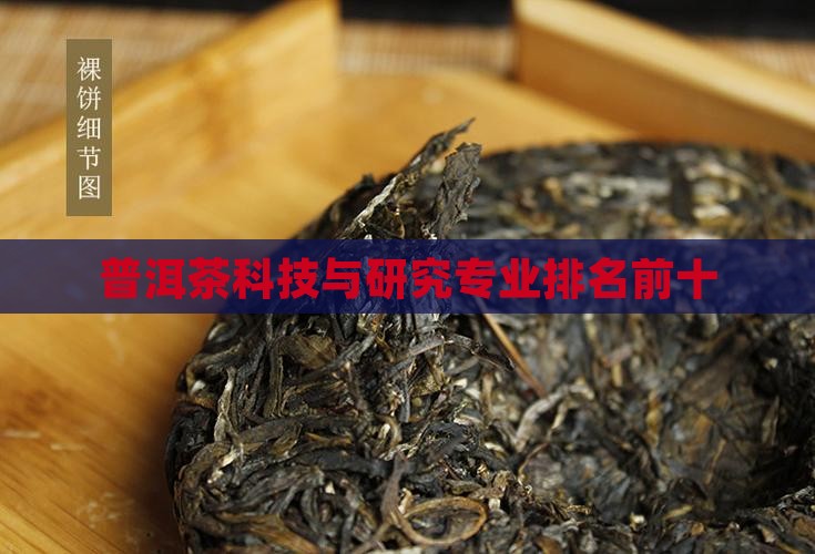 普洱茶科技与研究专业排名