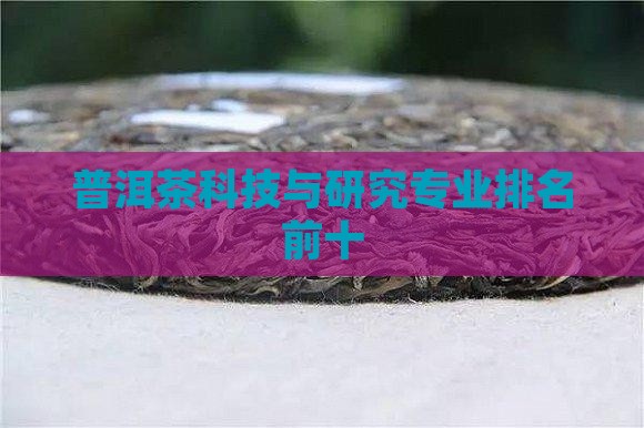 普洱茶科技与研究专业排名