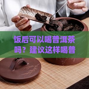 早饭后可以喝白普洱茶吗