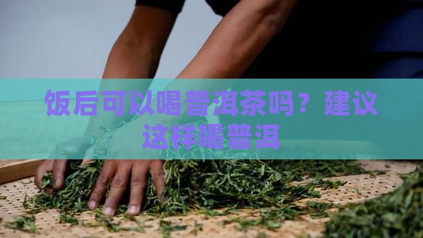 早饭后可以喝白普洱茶吗
