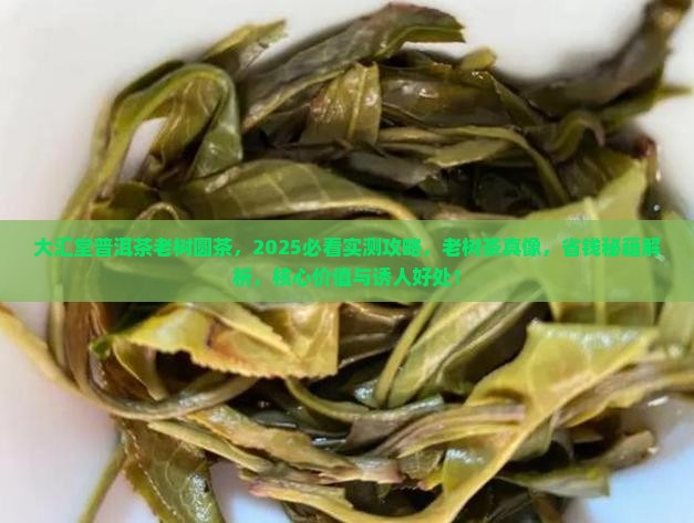 大汇堂普洱茶老树圆茶