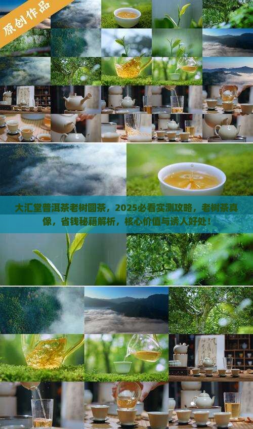 大汇堂普洱茶老树圆茶