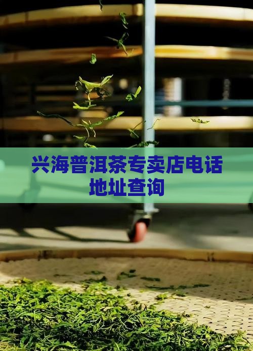 兴海普洱茶专卖店电话地址