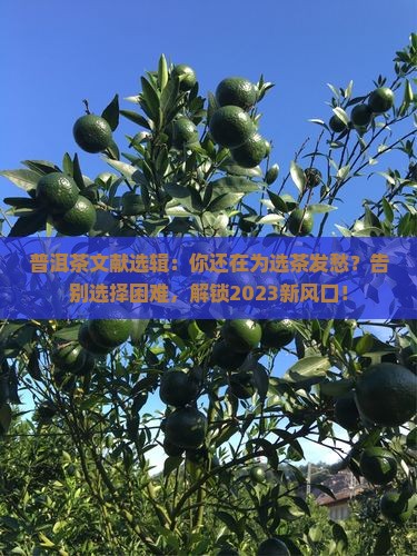 普洱茶文献选辑