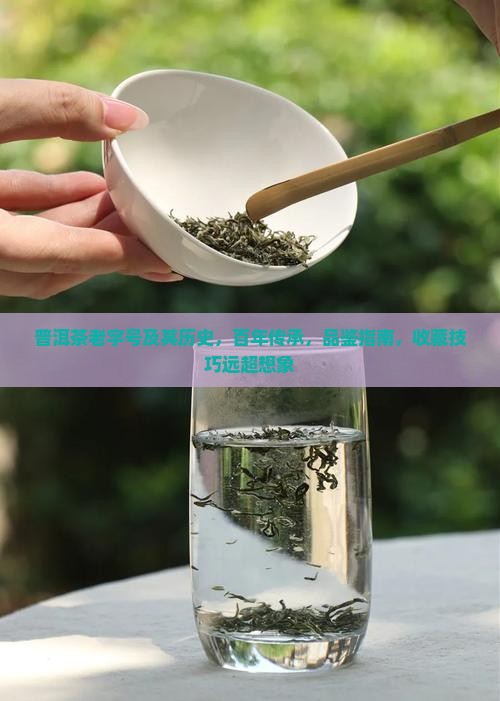 普洱茶老字号及其历史