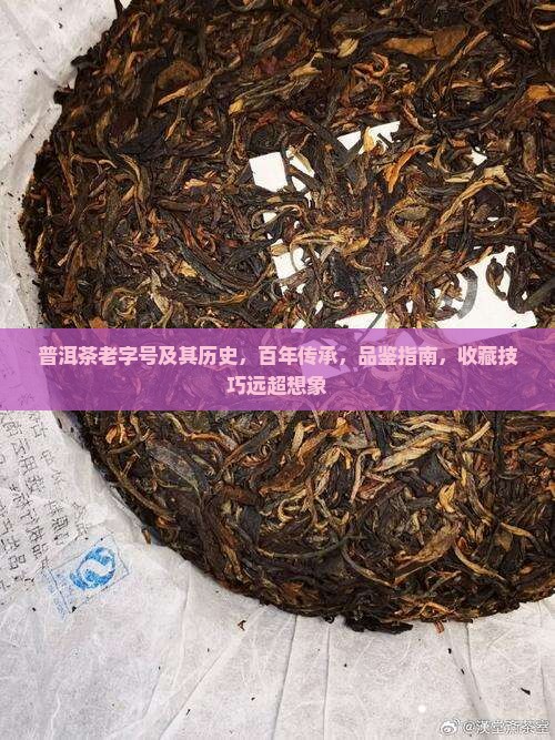 普洱茶老字号及其历史