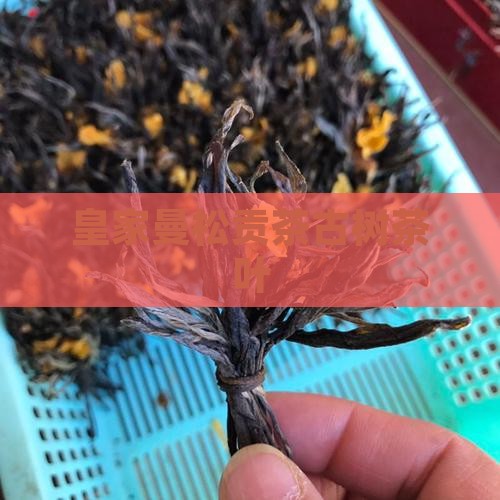 曼松贡茶皇家古树茶