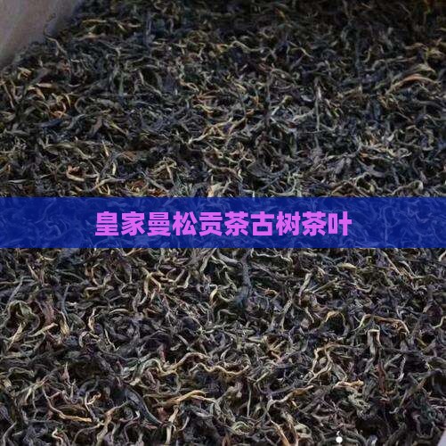 曼松贡茶皇家古树茶