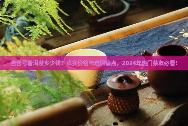 吉仓号普洱茶什么价格