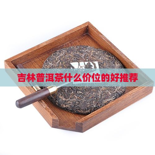 吉林普洱茶什么价位的好