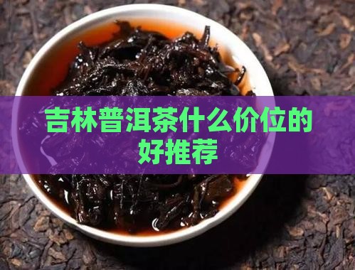 吉林普洱茶什么价位的好
