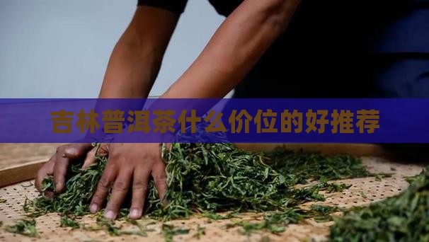 吉林普洱茶什么价位的好