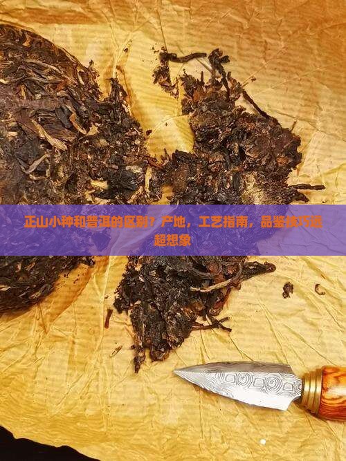 正山小种和普洱的区别