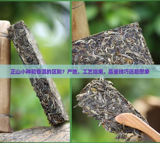 正山小种和普洱的区别