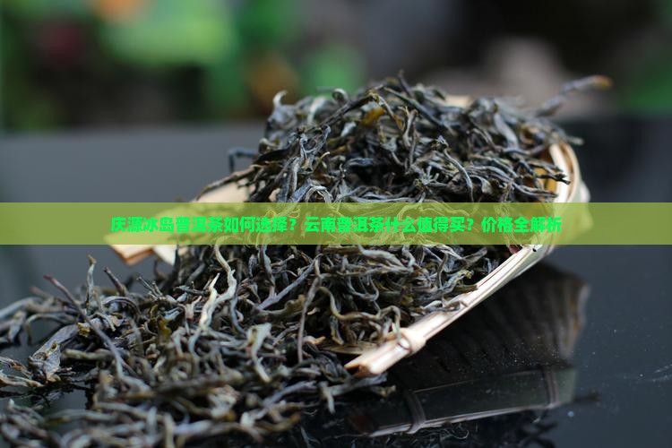 溢庆源冰岛普洱茶