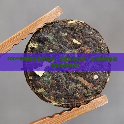 2009年老班章古树生茶