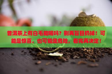 普洱茶上有白毛能喝吗