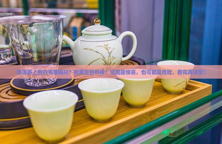 普洱茶上有白毛能喝吗