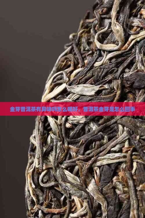 金芽普洱茶有异味吗怎么喝