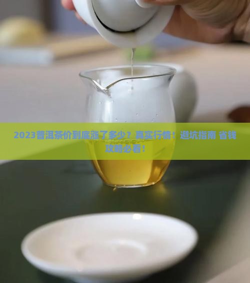 2023年普洱茶价