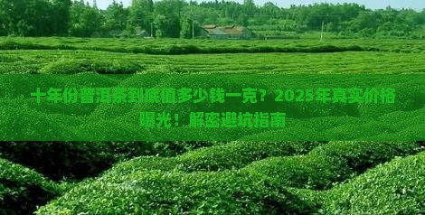 十年份的普洱茶多少钱一克