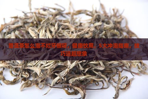 普洱茶怎么泡不烂牙根呀
