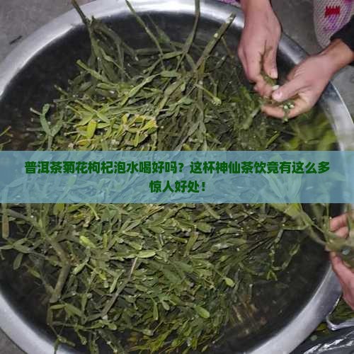 普洱茶菊花枸杞泡水喝好吗