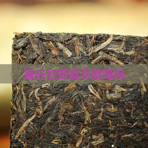 宜兴红茶夏天能喝吗