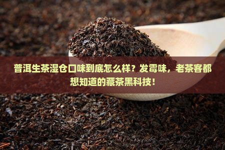 普洱生茶湿仓口味
