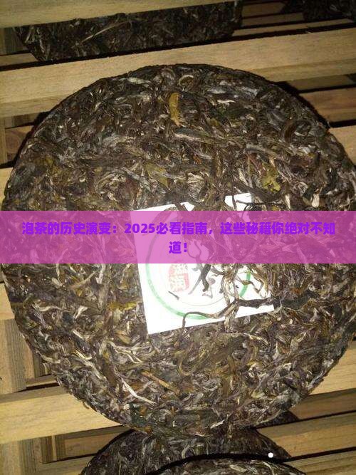泡茶的历史演变