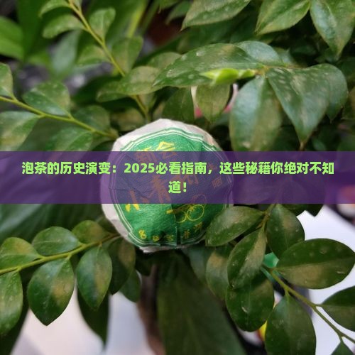 泡茶的历史演变