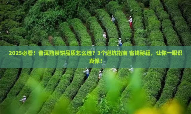 普洱茶熟茶饼品质特征是什么